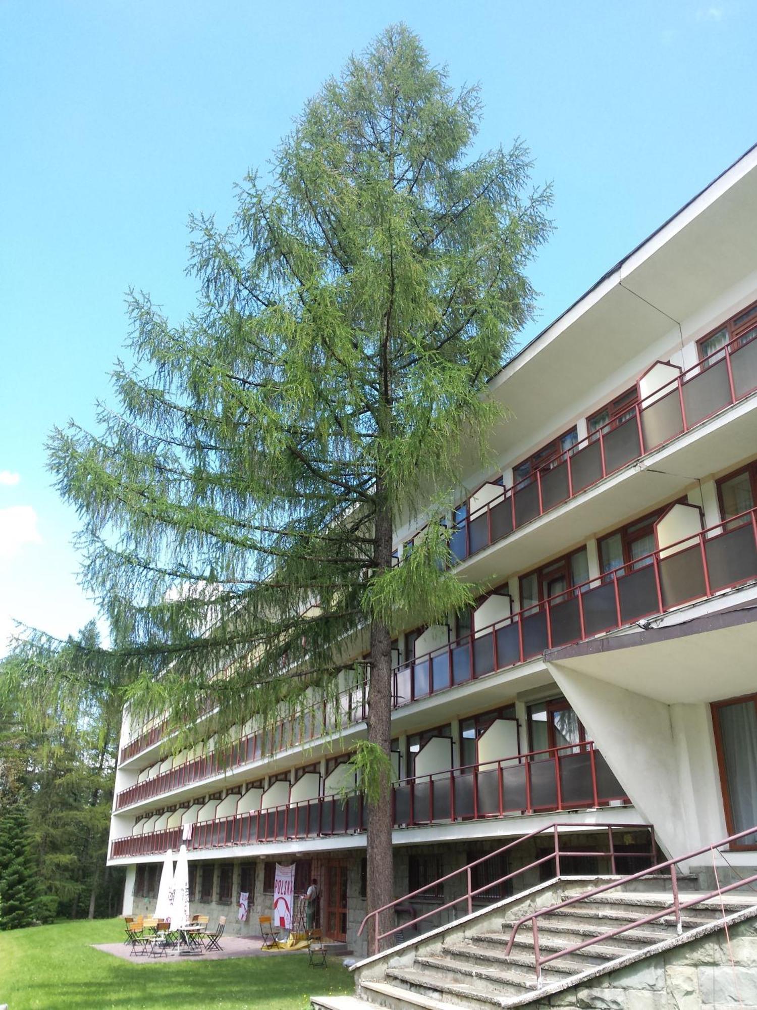 Geovita Zakopane Exterior photo